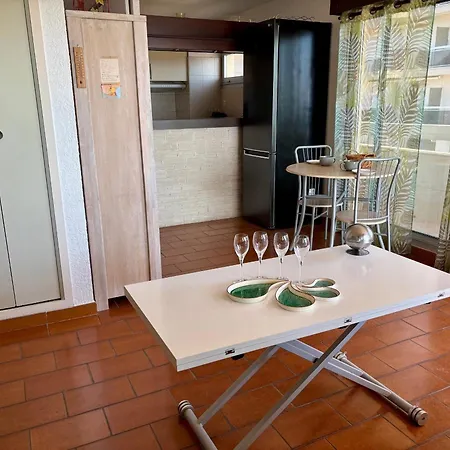 Apartment Superbe T3 A Canet-en-roussillon, 4p, Parking Prive - Fr-1-794-164 *