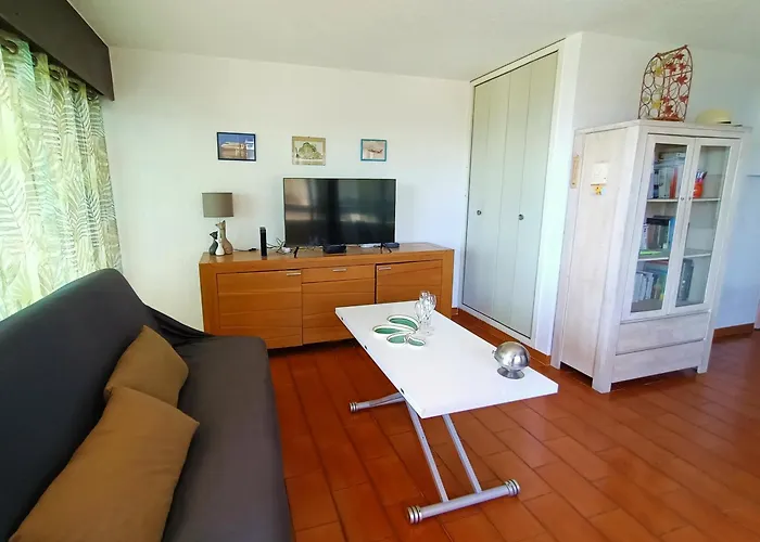 Daire Superbe T3 A Canet-en-roussillon, 4p, Parking Prive - Fr-1-794-164 *